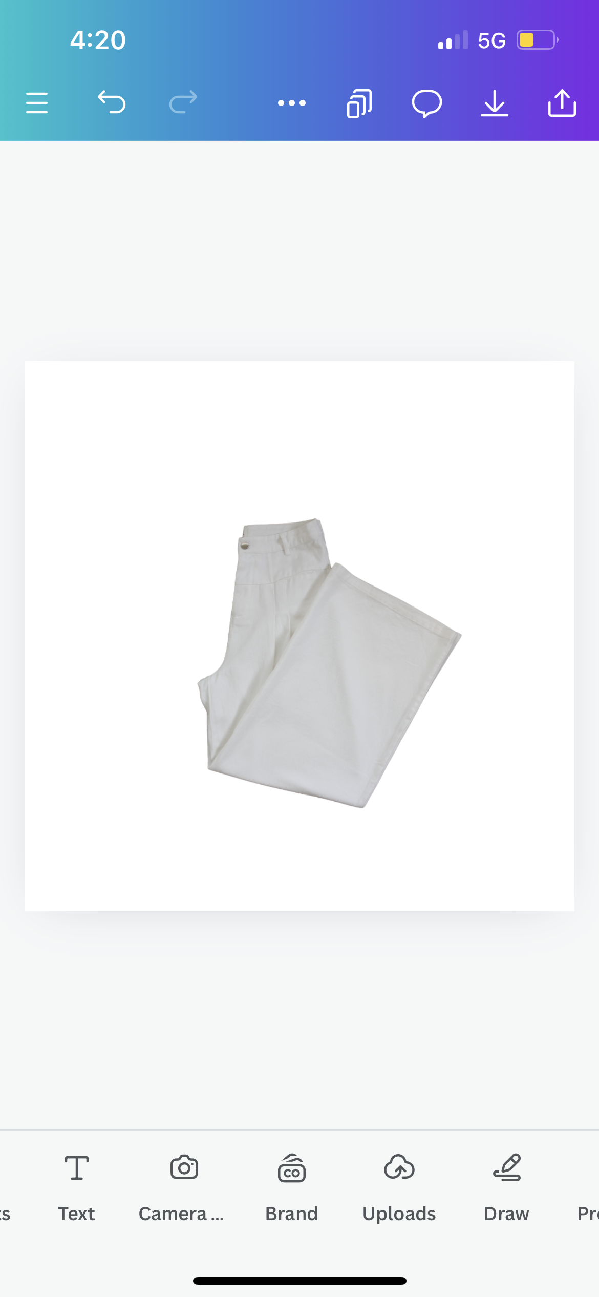 Heyson Wide Leg Pant